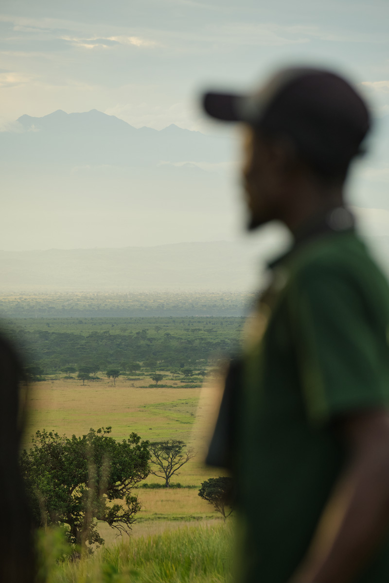 The Chimpanzee and Wildlife Lodge